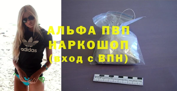 молекула духа Арсеньев