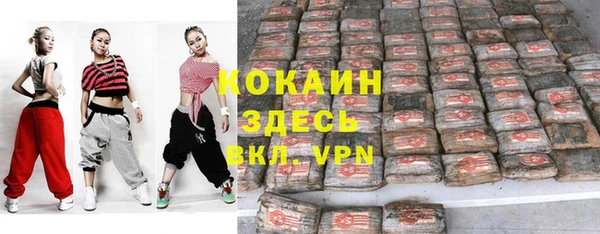 молекула духа Арсеньев