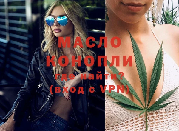 молекула духа Арсеньев