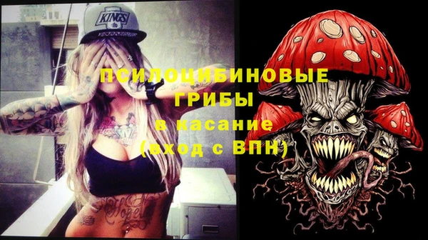 молекула духа Арсеньев