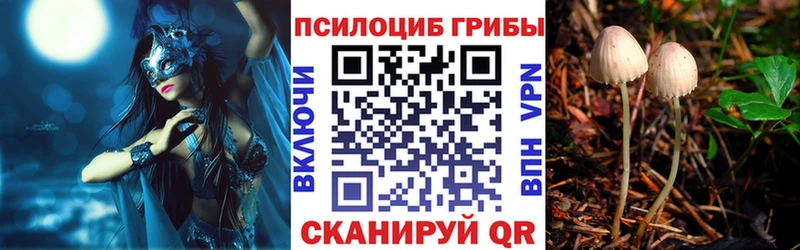 Псилоцибиновые грибы GOLDEN TEACHER  Верхняя Салда 